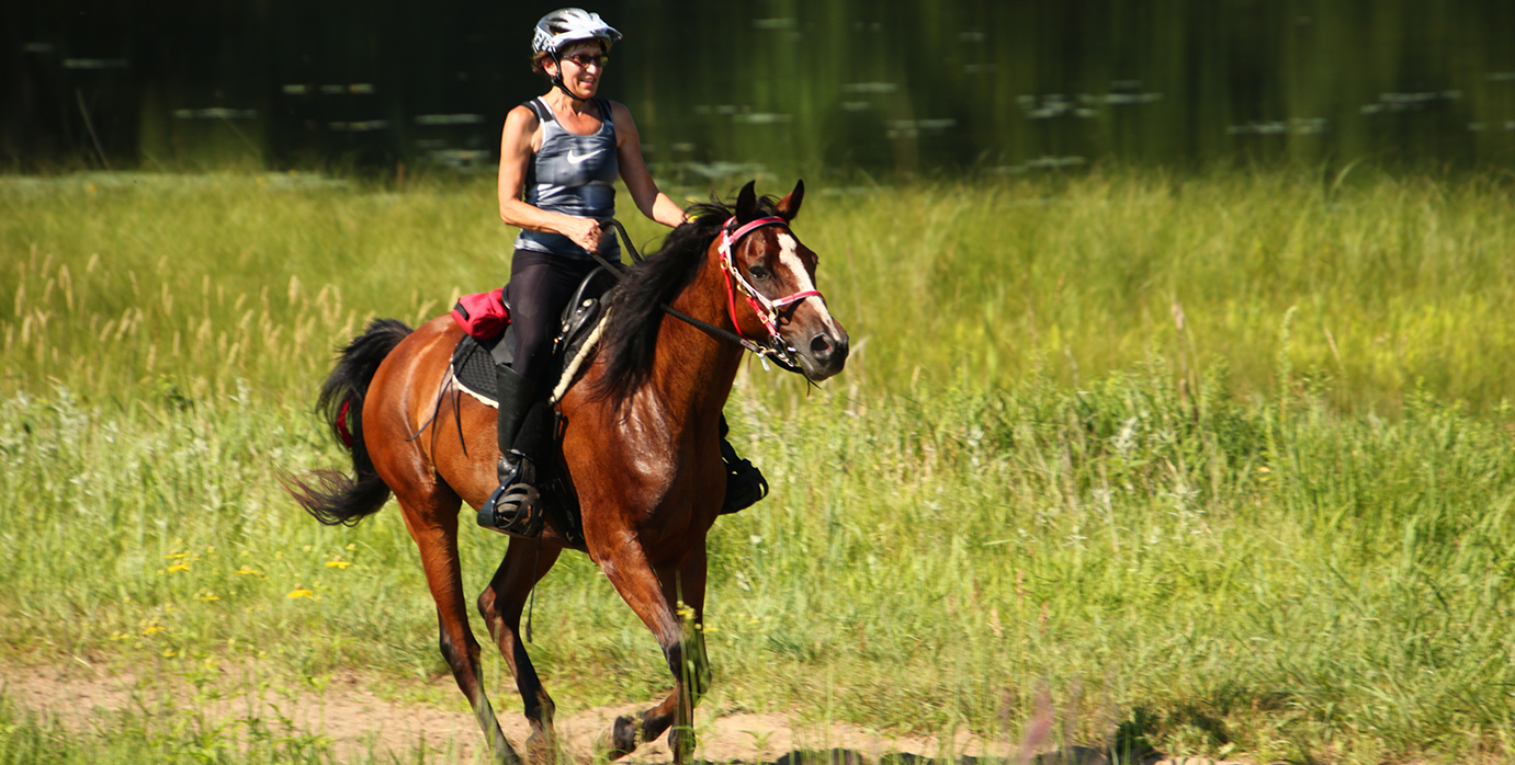 Rise of women in endurance riding