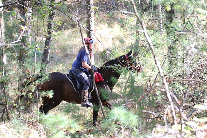 IMG_5808.JPG