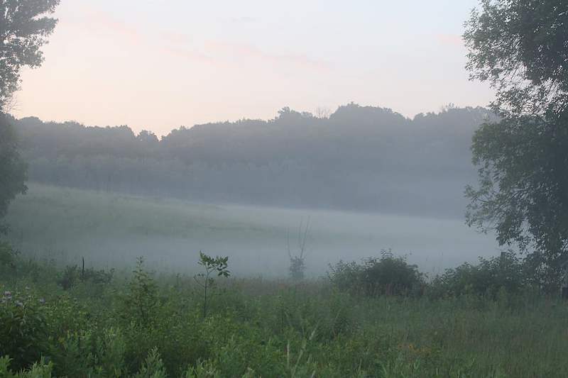 IMG_9902.JPG
