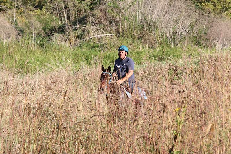IMG_7396.JPG