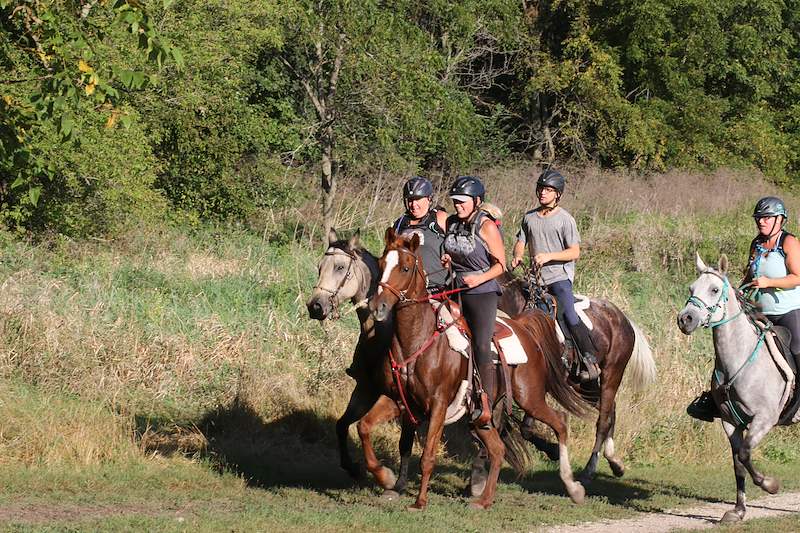 IMG_7504.JPG