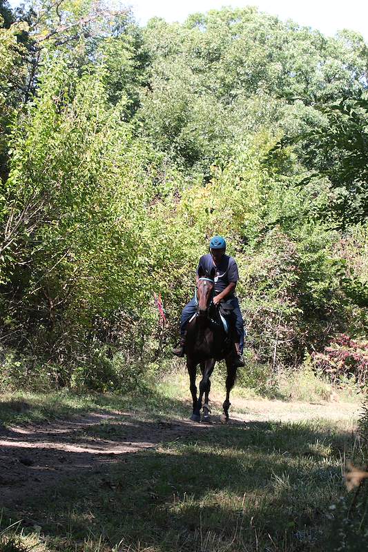 IMG_8395.JPG